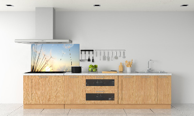 Glazen achterwand keuken Paardenbloemzaden