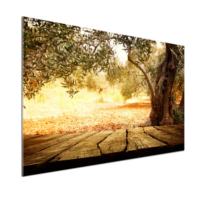 Keuken achterwand Olijfboom