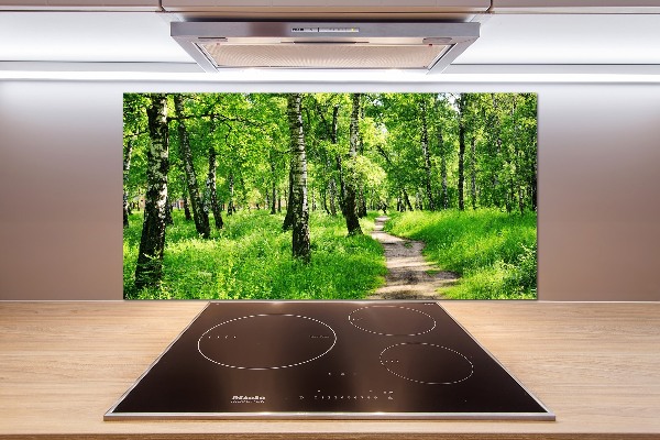 Keuken achterwand Berkenbos