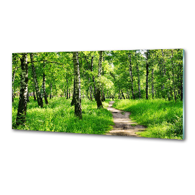 Keuken achterwand Berkenbos