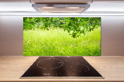 Glazen achterwand keuken Groene weide