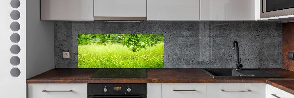 Glazen achterwand keuken Groene weide