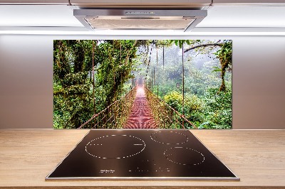 Spatscherm keuken Een brug in de tropen