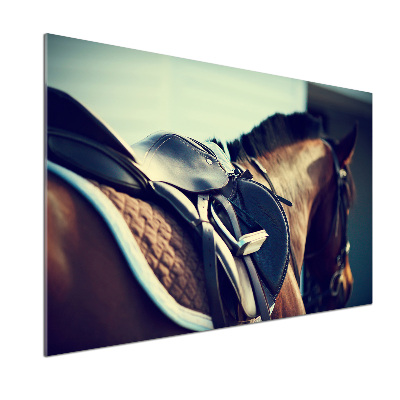 Glazen achterwand keuken Zadel met stijgbeugels