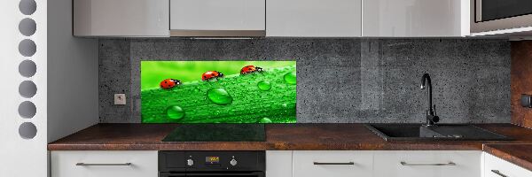 Achterwand keuken Lieveheersbeestjes op het gras