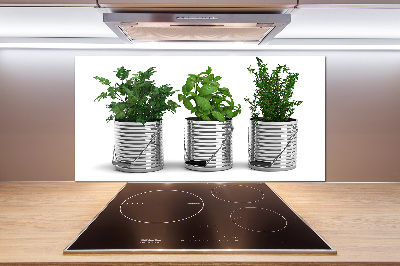 Keuken achterwand Aromatische planten
