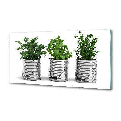 Keuken achterwand Aromatische planten