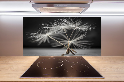 Achterwand keuken Paardenbloemzaden