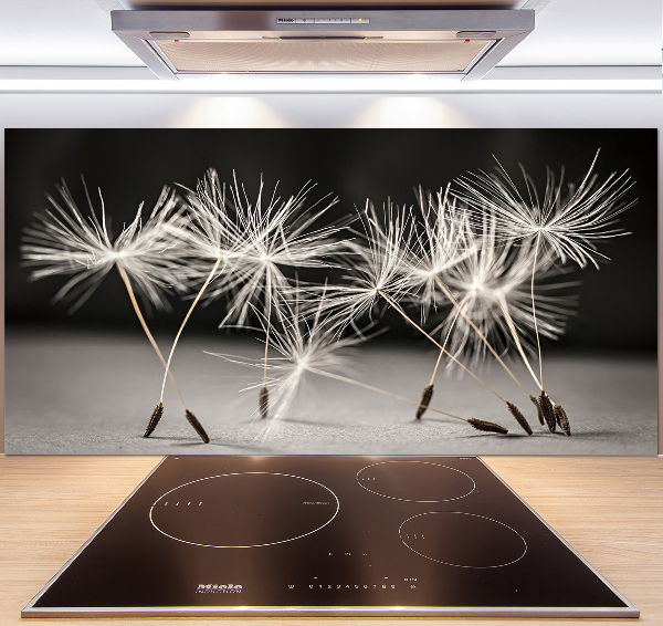 Spatscherm keuken Paardenbloemzaden