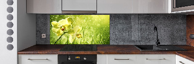 Spatplaat keuken Orchidee