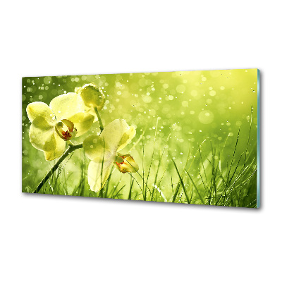 Spatplaat keuken Orchidee