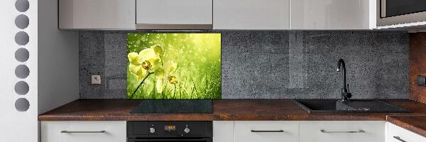 Spatplaat keuken Orchidee