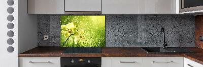 Spatplaat keuken Orchidee