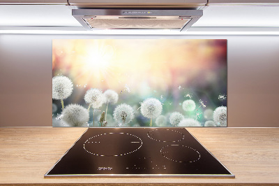 Glazen achterwand keuken Paardenbloemenveld