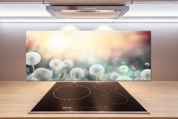 Glazen achterwand keuken Paardenbloemenveld