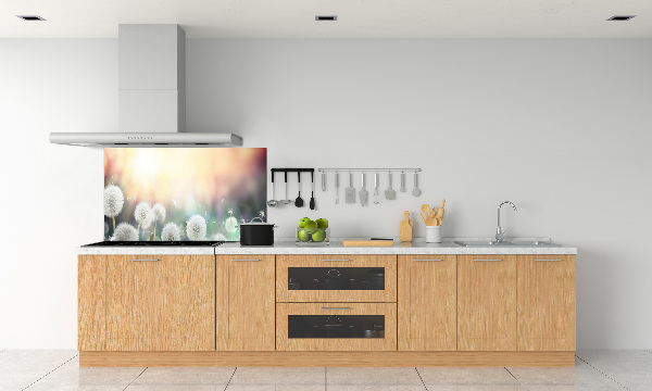 Glazen achterwand keuken Paardenbloemenveld