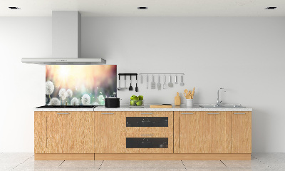 Glazen achterwand keuken Paardenbloemenveld