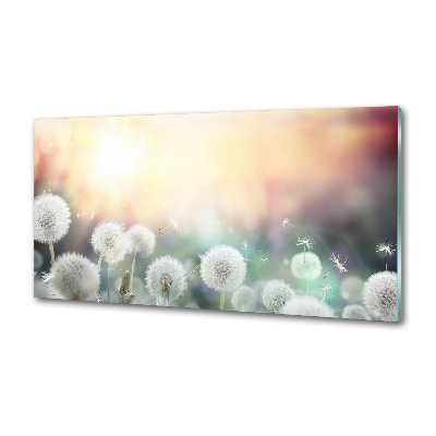 Glazen achterwand keuken Paardenbloemenveld