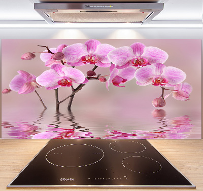 Spatscherm keuken Roze orchidee