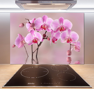 Spatscherm keuken Roze orchidee