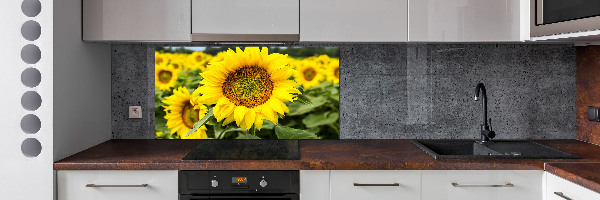 Spatplaat keuken Een veld met zonnebloemen