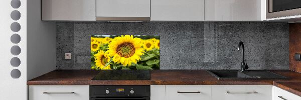 Spatplaat keuken Een veld met zonnebloemen