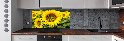 Spatplaat keuken Een veld met zonnebloemen