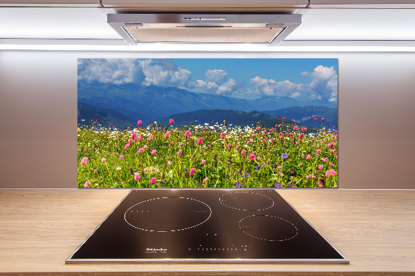 Spatplaat keuken Weide in de bergen