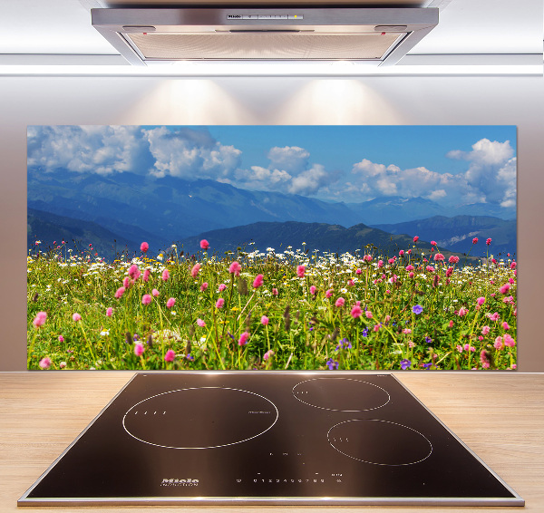 Spatplaat keuken Weide in de bergen