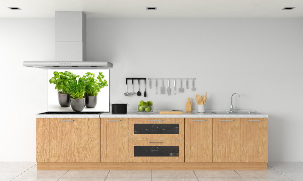 Spatplaat keuken Kruiden in potten