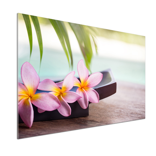 Spatscherm keuken Plumeria