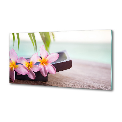 Spatscherm keuken Plumeria