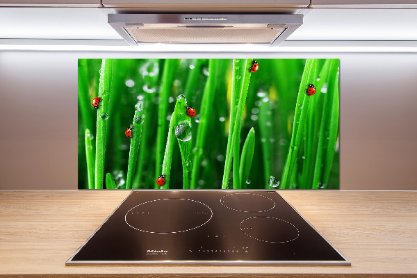 Keuken achterwand Lieveheersbeestjes op het gras