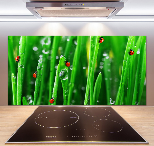 Keuken achterwand Lieveheersbeestjes op het gras