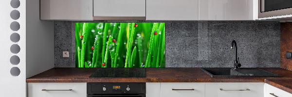 Keuken achterwand Lieveheersbeestjes op het gras