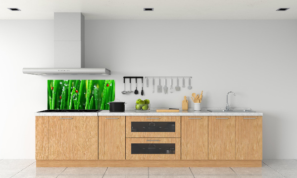 Keuken achterwand Lieveheersbeestjes op het gras