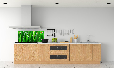 Keuken achterwand Lieveheersbeestjes op het gras