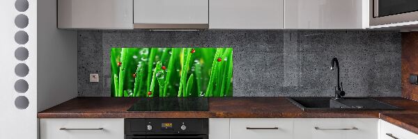Keuken achterwand Lieveheersbeestjes op het gras