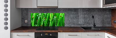 Keuken achterwand Lieveheersbeestjes op het gras