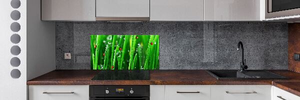 Keuken achterwand Lieveheersbeestjes op het gras
