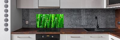 Keuken achterwand Lieveheersbeestjes op het gras