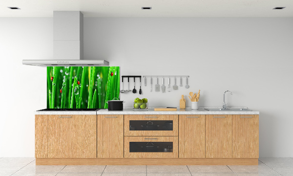Keuken achterwand Lieveheersbeestjes op het gras