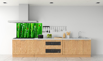 Keuken achterwand Lieveheersbeestjes op het gras