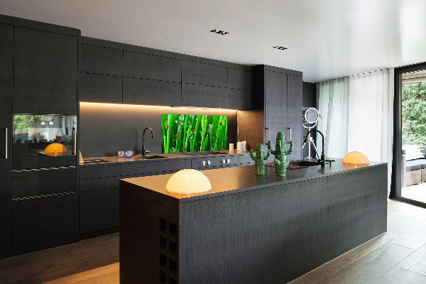 Keuken achterwand Lieveheersbeestjes op het gras