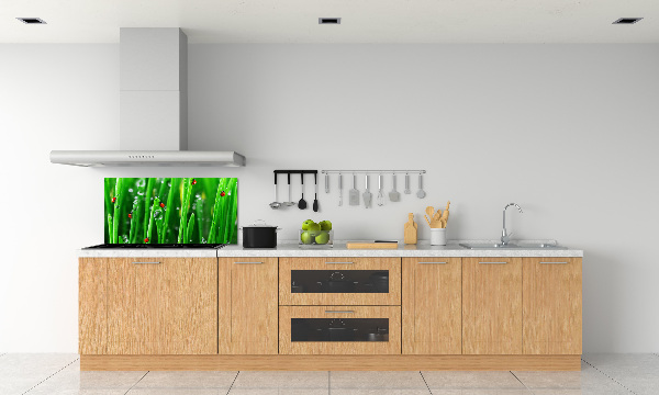Keuken achterwand Lieveheersbeestjes op het gras