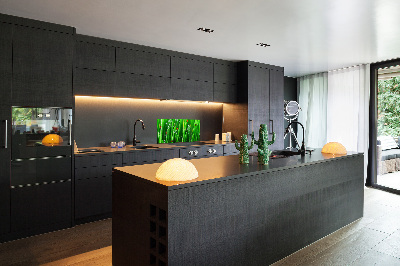 Keuken achterwand Lieveheersbeestjes op het gras