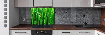 Keuken achterwand Lieveheersbeestjes op het gras