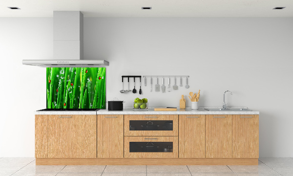 Keuken achterwand Lieveheersbeestjes op het gras