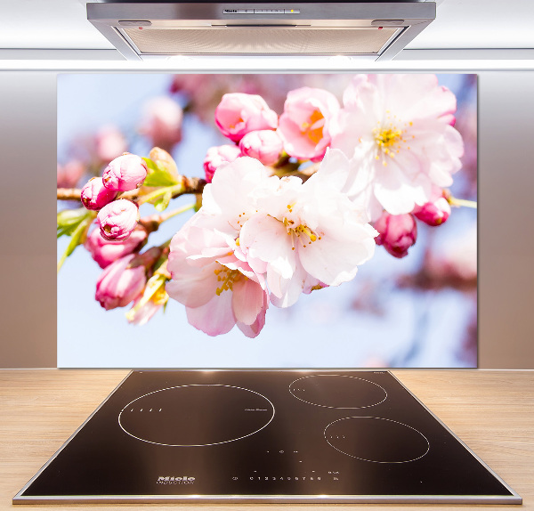 Spatplaat keuken Kersenbloesems