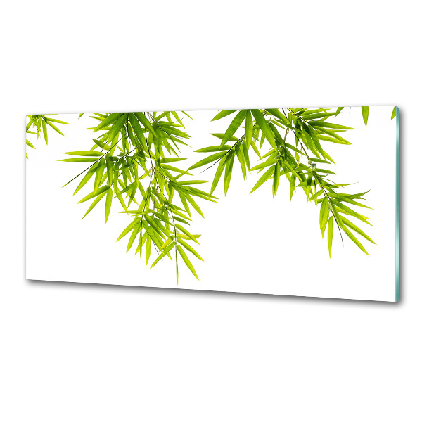 Glazen achterwand keuken Bamboe bladeren